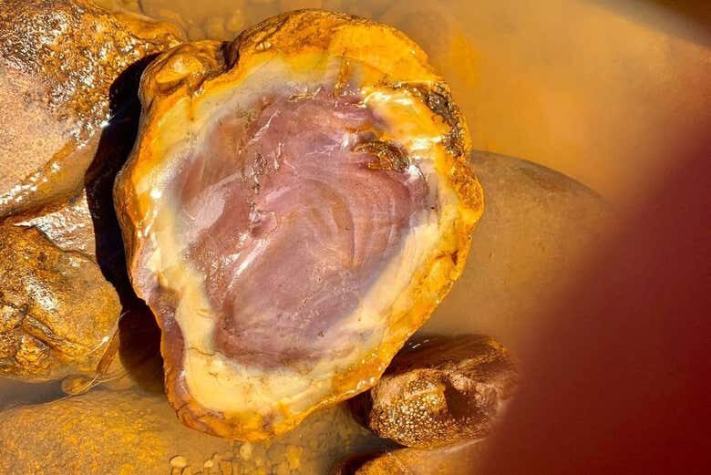 Aventuras Aquáticas: Explore o Rio Poti de Caiaque em Teresina