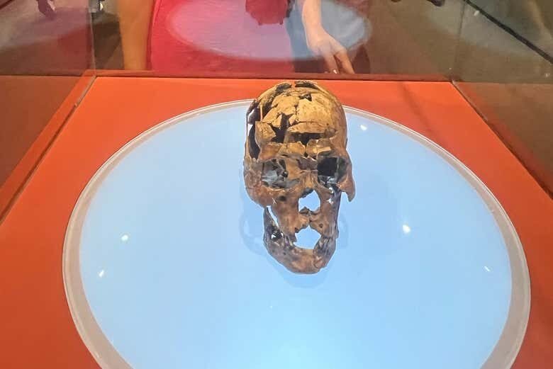 Exploração de 3 Dias no Parque Nacional Serra da Capivara: Cultura, Natureza e Aventura!