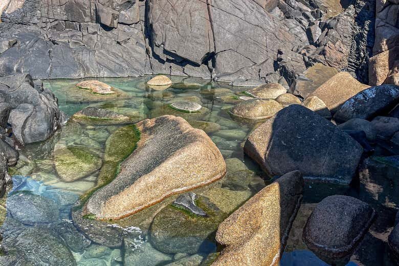 Trilha do Gravatá: Praia Escondida e Natureza Selvagem em Floripa!