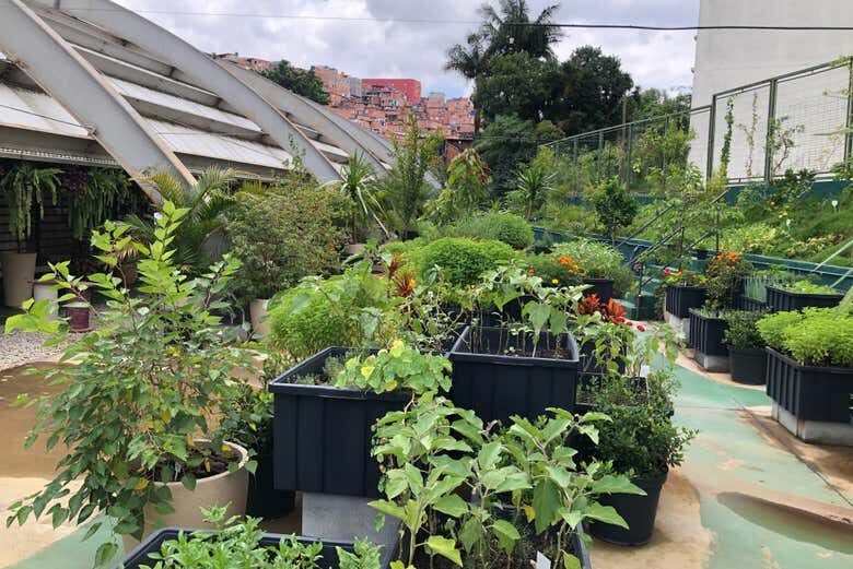 Descubra a Vida e a Cultura Única de Paraisópolis com um Tour Privado!