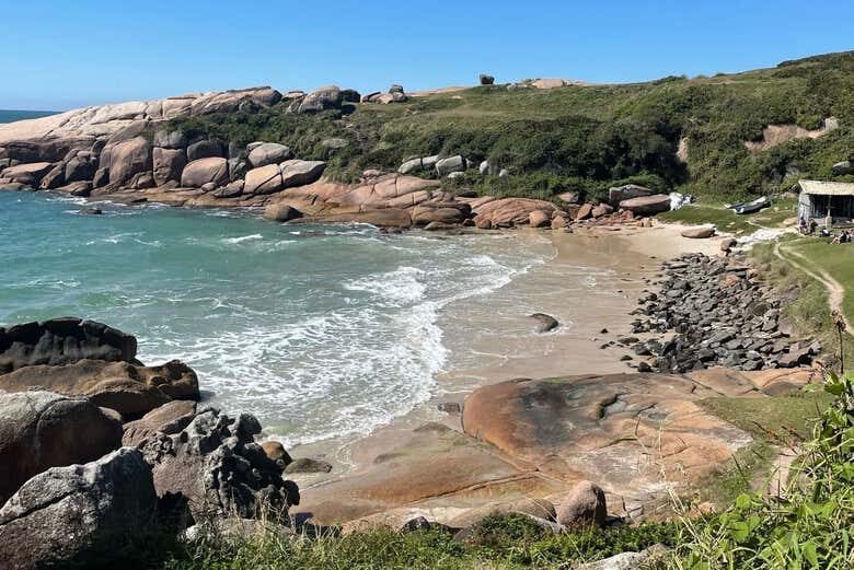 Trilha do Gravatá: Praia Escondida e Natureza Selvagem em Floripa!