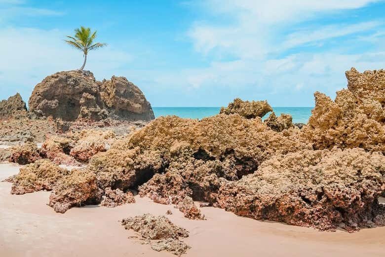 Aventura Imperdível de Buggy pelo Litoral Sul da Paraíba: Praias de Encantar!