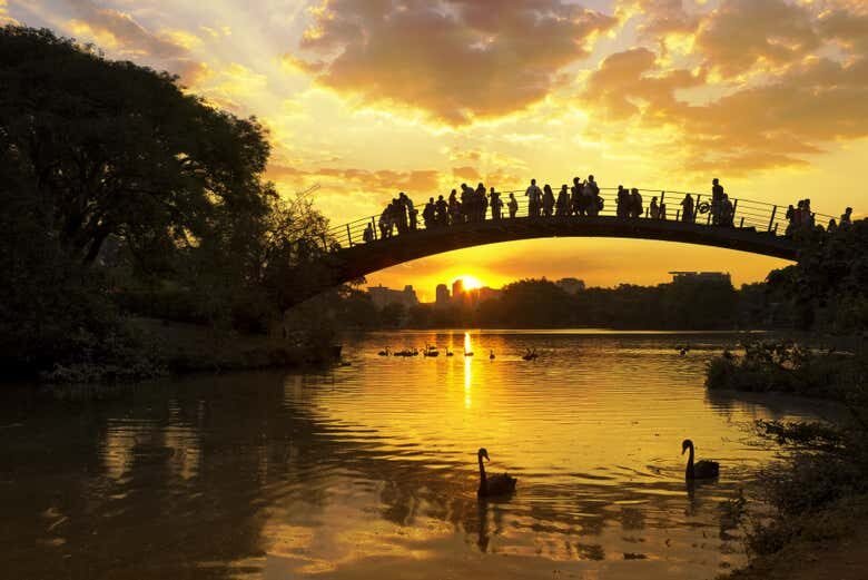 Descubra São Paulo à Noite: Tour Panorâmico Iluminado!