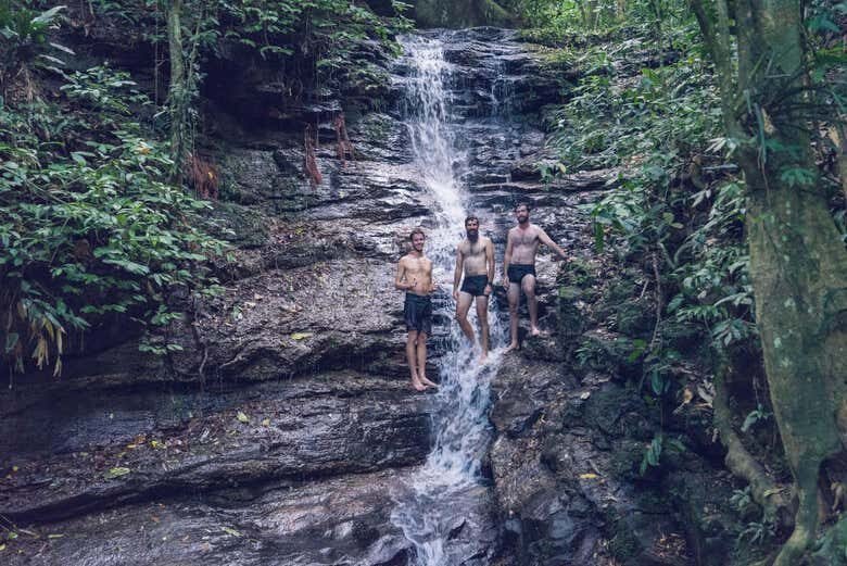 Trilha pelo Pico da Tijuca: Descubra a Natureza Exuberante do Rio de Janeiro!