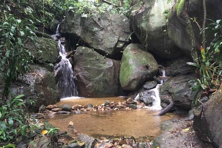 Trilha pelo Pico da Tijuca: Descubra a Natureza Exuberante do Rio de Janeiro!