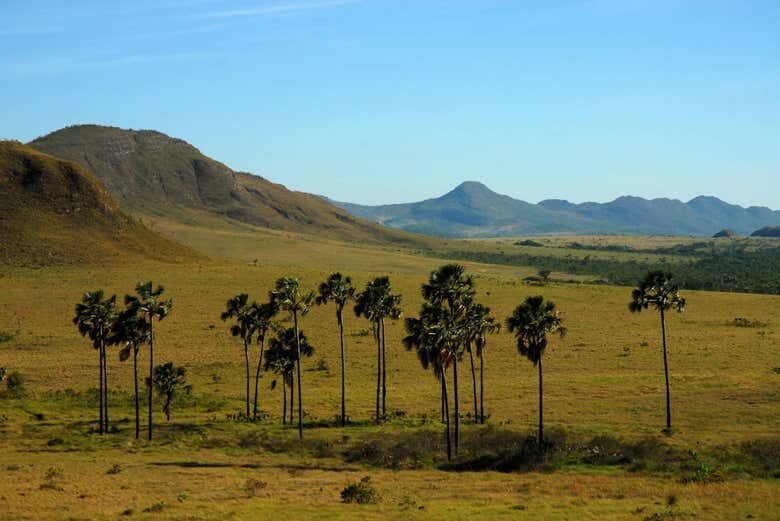 Excursão Privada ao Parque Nacional da Chapada dos Veadeiros!
