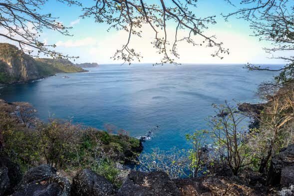 Trilha e Avistamento de Golfinhos em Fernando de Noronha!