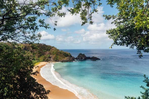 Trilha pelos Mirantes de Fernando de Noronha!