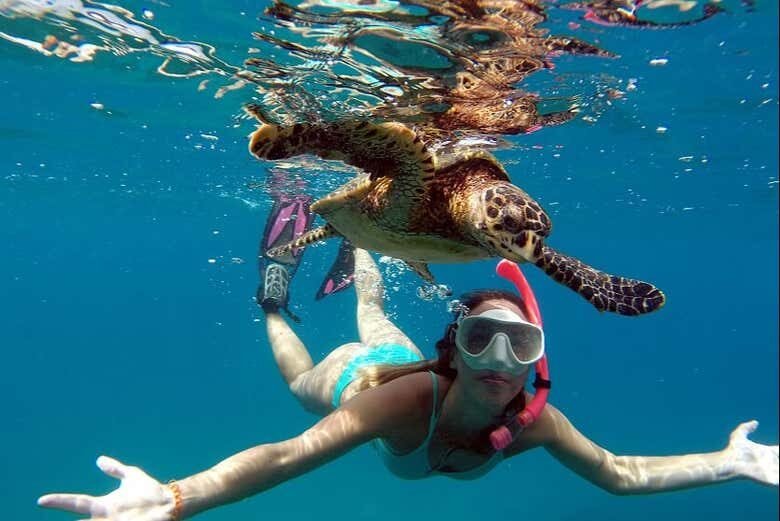 Trilha pelos Mirantes de Fernando de Noronha!