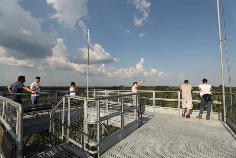 Explore a Floresta Amazônica e Descubra a Natureza Selvagem no Museu da Amazônia!