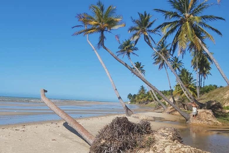 Costa dos Ventos 4 Dias: A Grande Aventura pelo Litoral Cearense!