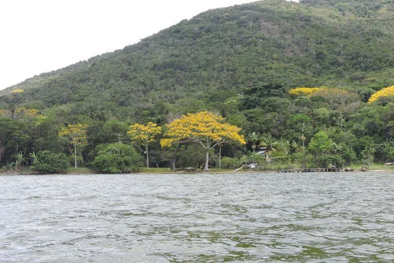 Trilha e Barco na Costa da Lagoa: Natureza e Cultura em Florianópolis!