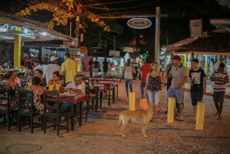 Excursão Noturna a Arraial d'Ajuda com Guia em Português!