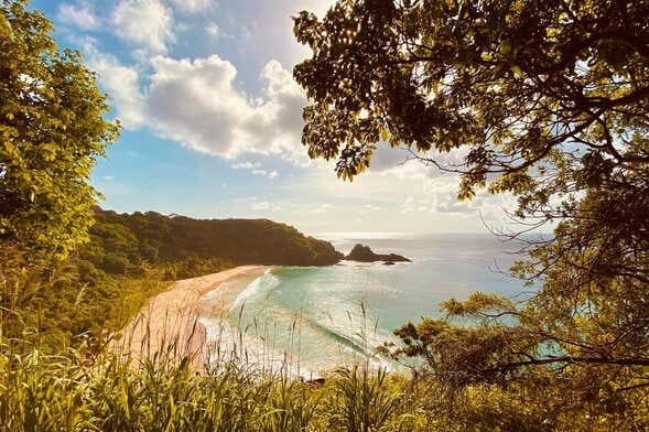 Tour Privado por Fernando de Noronha: Descubra o Paraíso Exclusivamente para Você!