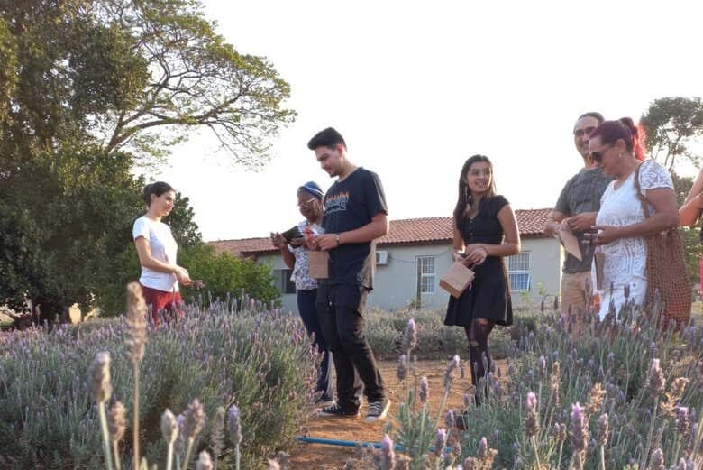 Exploração Privada de Holambra: Descubra a Cidade das Flores com Exclusividade!