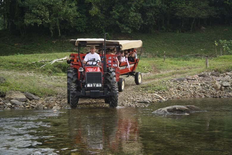 Desvende as Paisagens Rurais e Florais de Joinville: Uma Experiência Inesquecível!