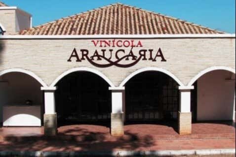 Tour Vinícola Araucária: Degustação e Encantos do Mundo do Vinho!