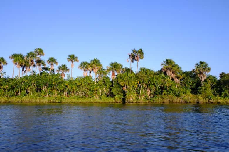 Transfer de Lancha entre Barreirinhas e Atins!