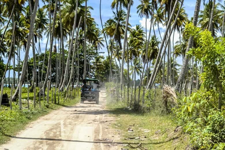 Excursão à Praia de Garapuá: Mergulhe nas Piscinas Naturais e Explore um Paraíso Tropical!