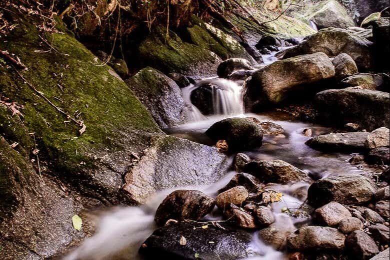 Descubra os Tesouros Culturais de Bertioga: Uma Trilha Imperdível!