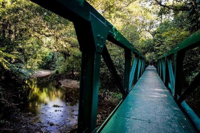 Descubra os Tesouros Culturais de Bertioga: Uma Trilha Imperdível!
