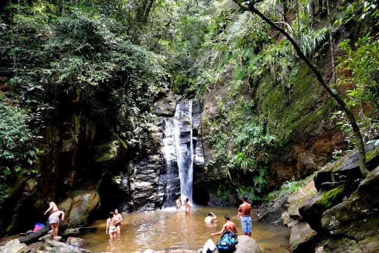 Trilha pelas Cachoeiras do Horto - Aventura na Natureza Carioca!