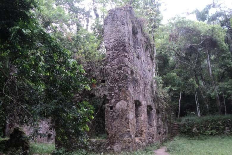 Explore as Ruínas da Lagoinha em Ubatuba: Uma Trilha Repleta de História e Natureza!