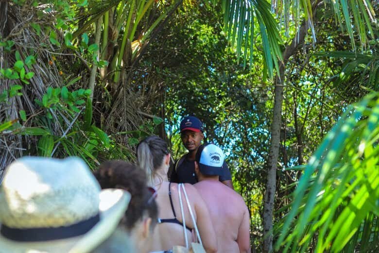 Trilha Pelas Praias de Jeribucaçu e Arruda + Cachoeira da Usina!