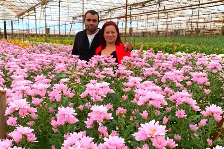Tour por Holambra com Oficina de Pintura de Tamancos!