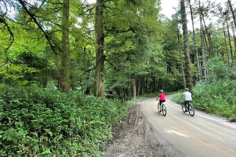 Explore a Serra da Mantiqueira de Bicicleta: Tour Imperdível em Monte Verde!