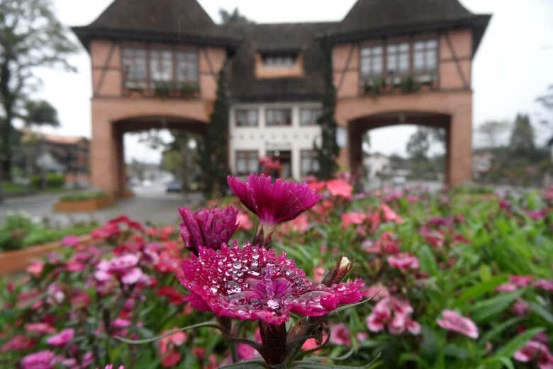 Excursão a Pomerode: A Alemanha no Brasil em um só dia!
