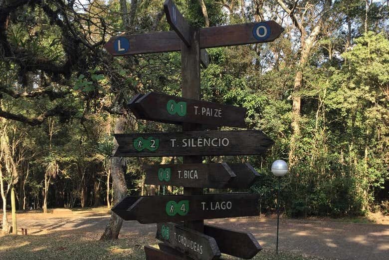 Trilha para o Pico do Jaraguá: Aventura no Ponto Mais Alto de São Paulo!