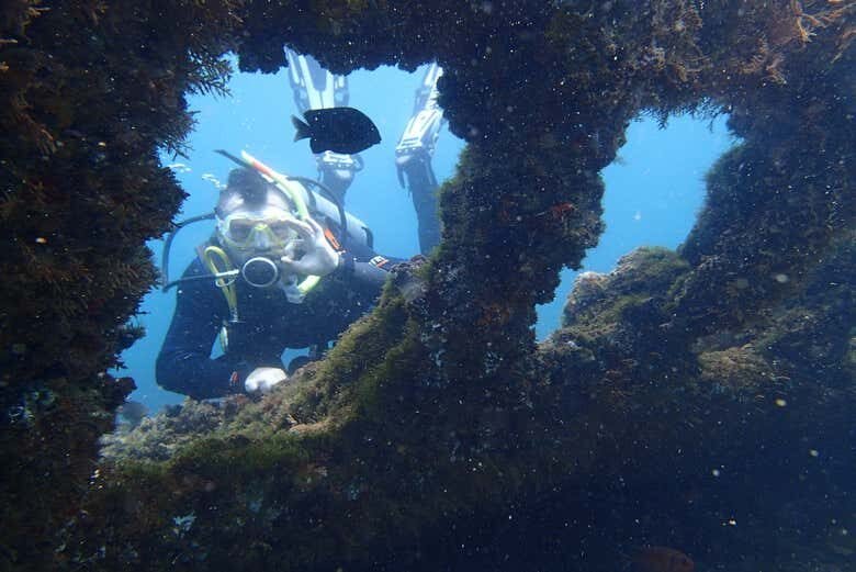 Aventura Submarina na Baía de Todos-os-Santos: Explore Tesouros Submersos!