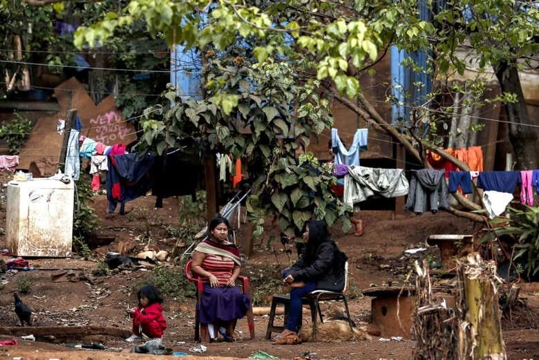 Trilha Privada pelo Parque Estadual do Jaraguá: Descubra a Selva Tropical em São Paulo!