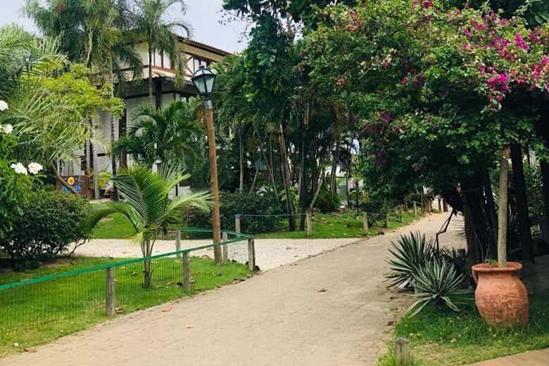 Excursão Inesquecível à Praia do Forte saindo de Aracaju