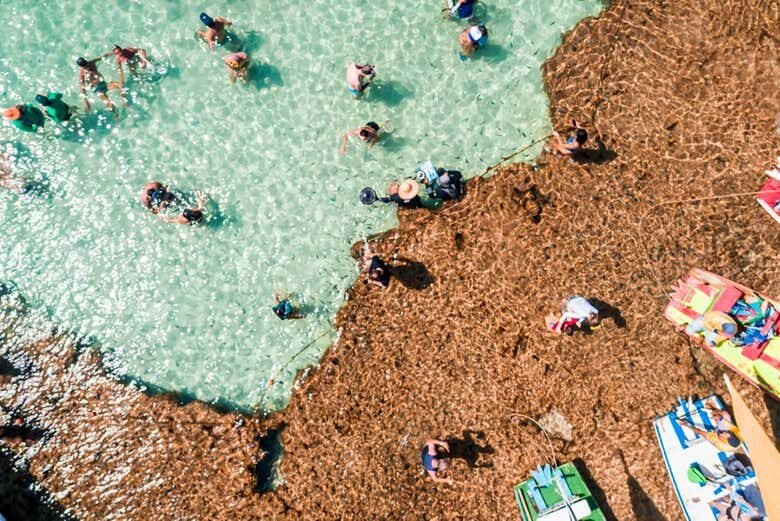 Excursão Incrível a Porto de Galinhas: Praias Paradisíacas em Pernambuco!