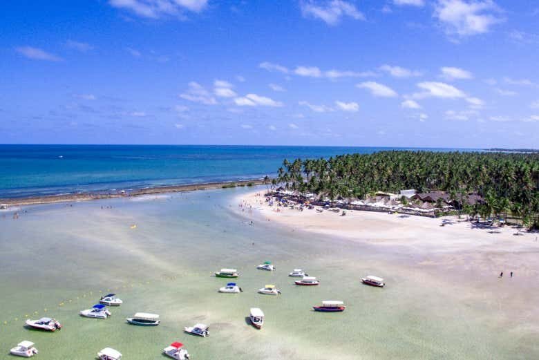 Excursão à Praia dos Carneiros: Um Paraíso no Nordeste Brasileiro!