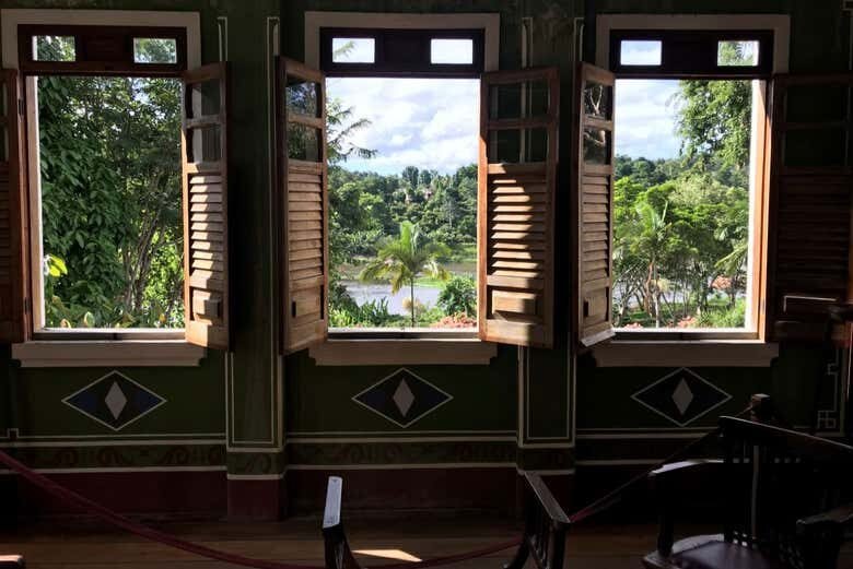 Experiência Imersiva na Famosa Fazenda de Cacau Vila Rosa na Bahia!