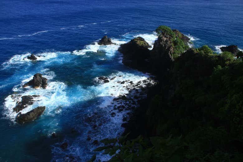 Trilha e Avistamento de Golfinhos em Fernando de Noronha!