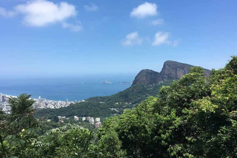 Trilha pelo Pico da Tijuca: Descubra a Natureza Exuberante do Rio de Janeiro!