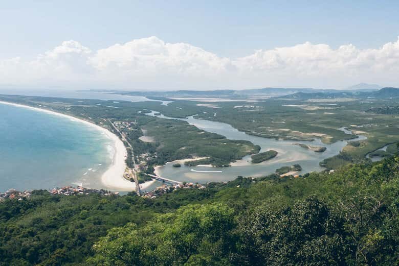 Aventura Incrível na Trilha pela Pedra do Telégrafo no Rio de Janeiro!