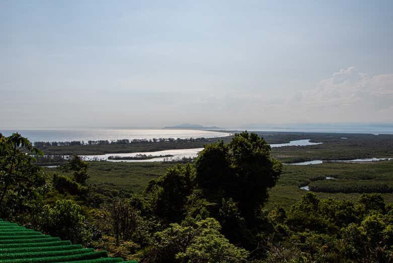 Avistamento de Golfinhos na Ilha de Marambaia!