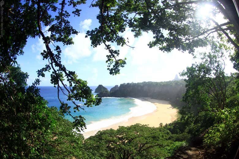 Trilha pelos Mirantes de Fernando de Noronha!