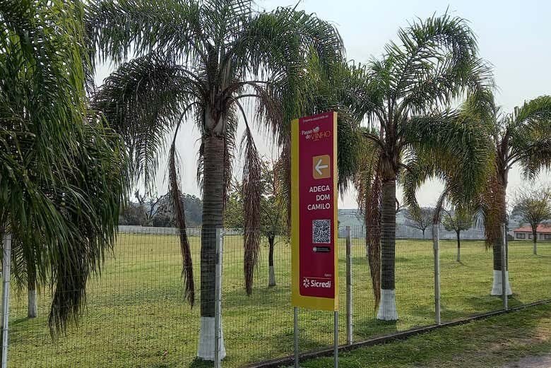 Tour do Vinho por Caxias do Sul e Flores da Cunha!