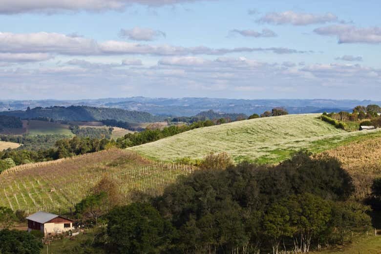 Tour em Cotiporã: A Joia da Serra Gaúcha!