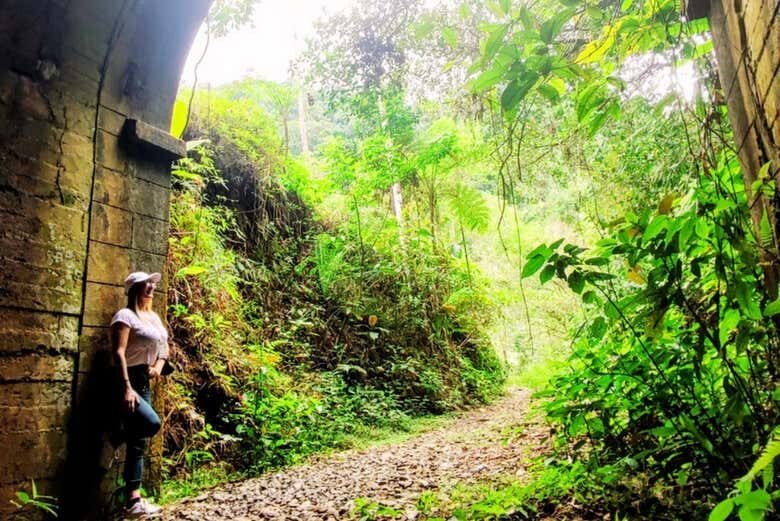 Nos trilhos da história: Trilha do Trem da Mata Atlântica em Angra!