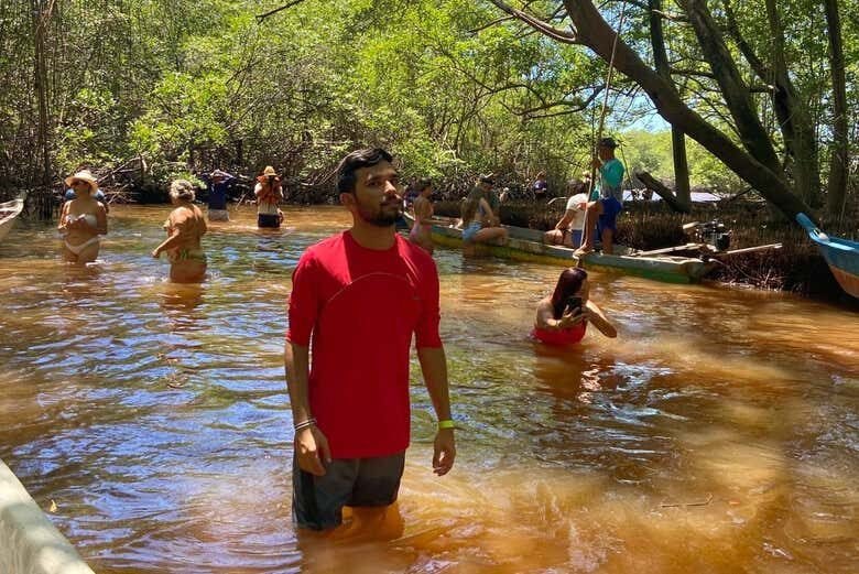 Explore as Belezas Naturais: Tour pelo Pontal da Barra e Lagoas Mundaú e Manguaba