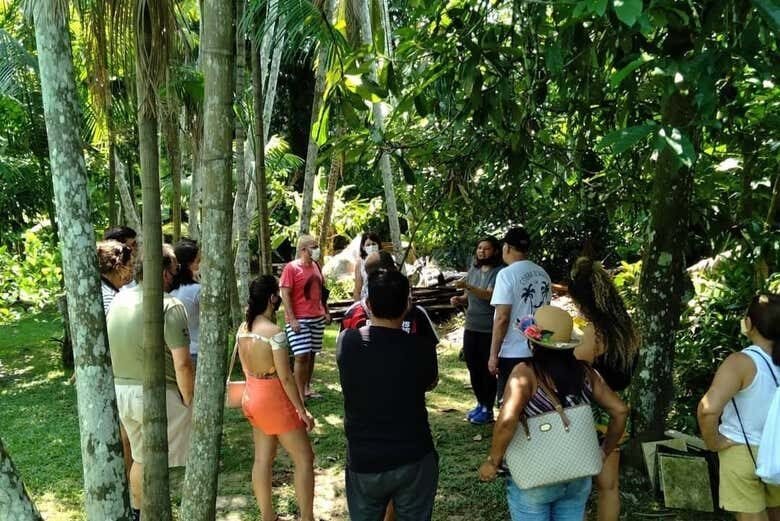 Passeio de Barco pela Ilha do Combú: Natureza e Chocolate Amazônico!