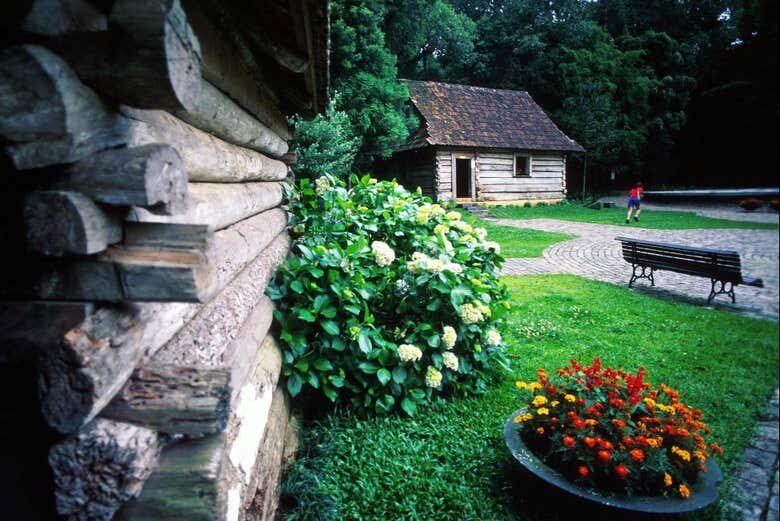 Tour Panorâmico por Curitiba: Natureza, Cultura e Arquitetura em 4 Horas!