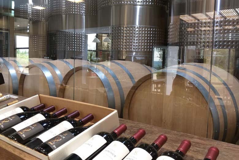 Tour Enogastronômico em Pinto Bandeira: Vinhos, História e Paisagens Incríveis!